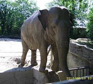 Tierpark Hagenbeck
