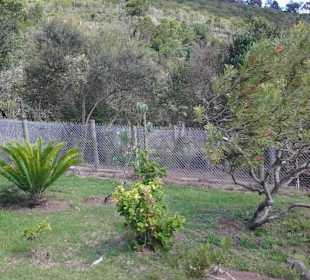 Aussichtspunkt Knysna