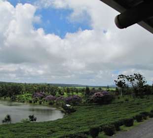 Blick von Restaurant