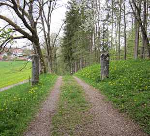 Römische ' Steinreste '