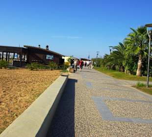 Ende Nov. 2012 Am Strand entlang