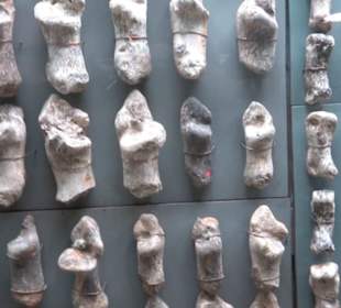 Ghar Dalam Cave & Museum