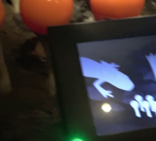 Naturparkzentrum Ruhestein