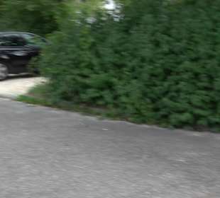 Sportgelände VFB Ulm