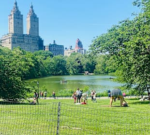 Central Park