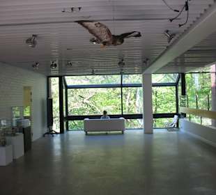 Naturhistorisches Museum