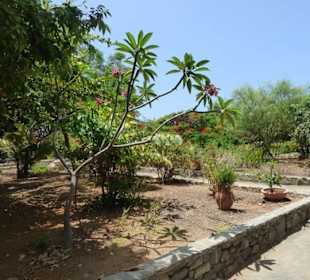 Schöner Garten