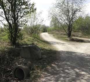 Wanderweg Firstwaldrunde