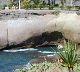 Beobachtungen an der Küste