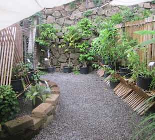 Botanischer Garten Bergamo