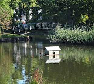 Spaziergang durch den Godewindpark