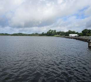 Deerpark Forest Wanderweg