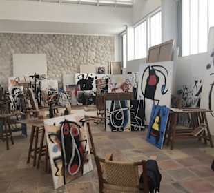 Miro Museum