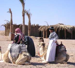 Ausflug in die Wüste