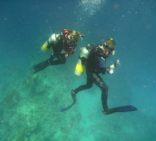 Taucher in der Coraya Bay