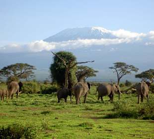 Mit Blick auf den Kilimanjaro