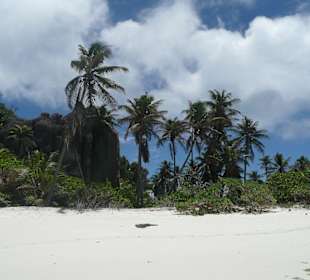 Sister Island