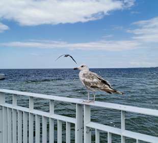 Strand Kolberg/Kolobrzeg