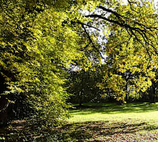 Herbstspaziergang durch den Bürgerpark Bremen