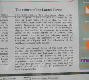 Beschreibung zum Lorbeerwald