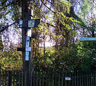 Panoramaweg Sankt Wendeler Land in Nonnweiler