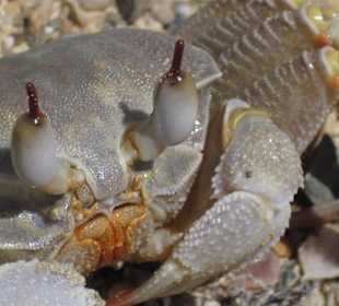 Interessantes beobachten