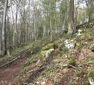 Wanderweg Hochgehswiggert