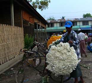 Mercato dei fiori