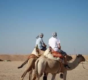 Wüstensafari