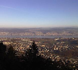 Aussicht auf den Zürichsee
