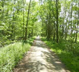 Naturschutzgebiet Boberger Niederung