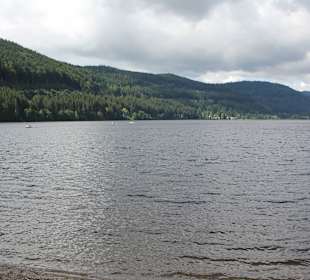 Красивое озеро рядом с Черным лесом