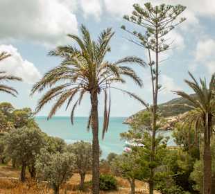 Dracheninsel/Dragonera