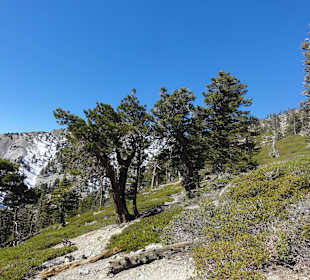 Горы Сан-Габриэль - где-то тут есть бурундуки