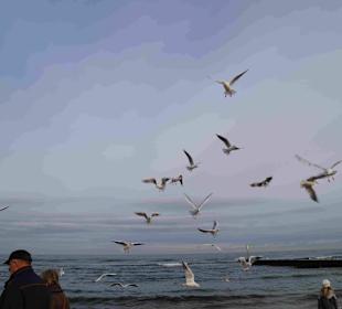 Strand Kolberg/Kolobrzeg