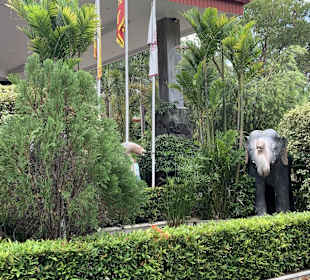 Elefantenwaisenhaus Udawalawa