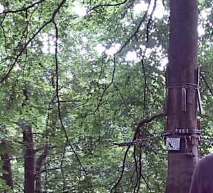 Fun Forest AbenteuerPark Homburg in Homburg