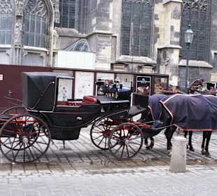 Fiaker vor dem Stephansdom