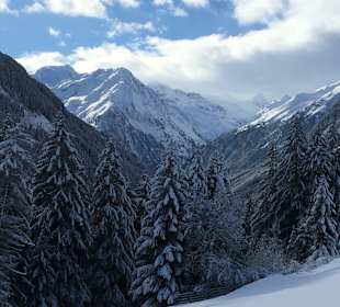 Panorana beim Spaziergang