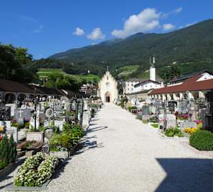 Blick vom Haupteingang über den Stadtfriedhof 