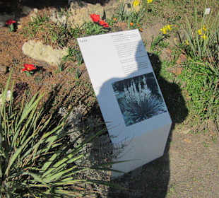 Der Botanische Garten im März 14