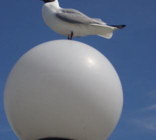 La Paloma auf der Seebrücke