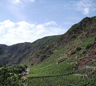 Kletter - Weinberg