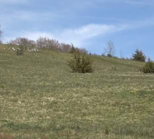 Naturreservat Beutenlay