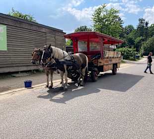 Stadtrundgang