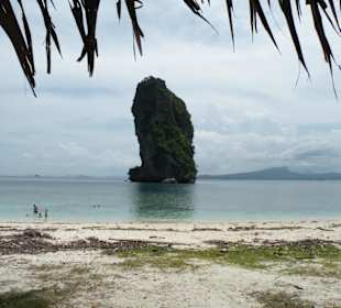 4 Island Tour