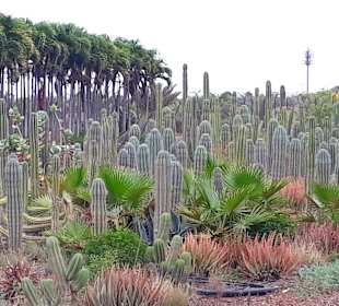 Botanischer Garten Viveiro
