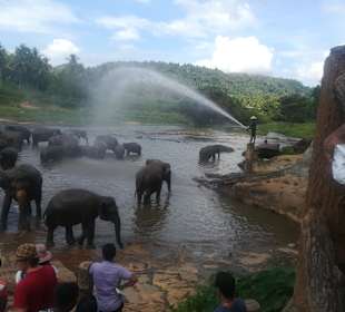 Ausflug Elefantenhaus
