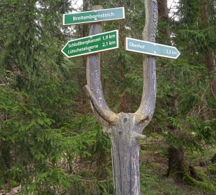Wandern Oberhof