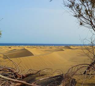Maspalomas Gran Canaria